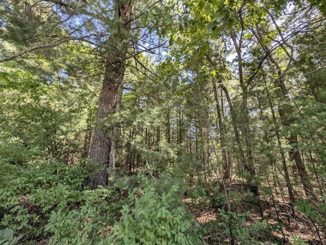 0.57 Ac HIGHWAY 13, Friendship, WI 53934