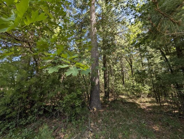 0.57 Ac HIGHWAY 13, Friendship, WI 53934