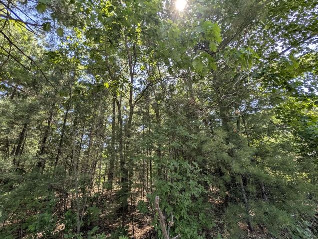 0.57 Ac HIGHWAY 13, Friendship, WI 53934