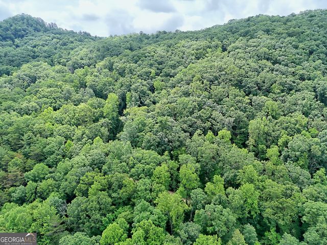 595 Jim McCrackin Road, Clayton, GA 30525