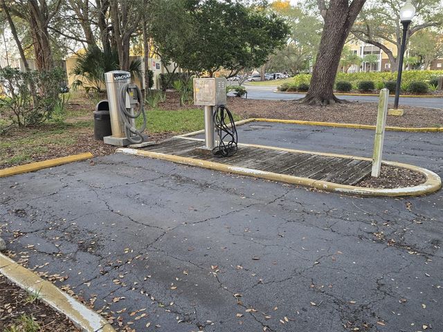 4115 CHATHAM OAK COURT 218, Tampa, FL 33624