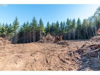 Orion, Longview, WA 98632