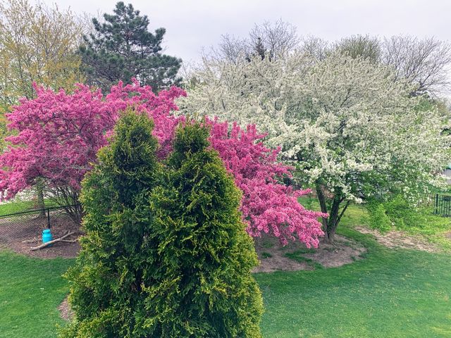 129 N Windsor Circle, Bloomingdale, IL 60108