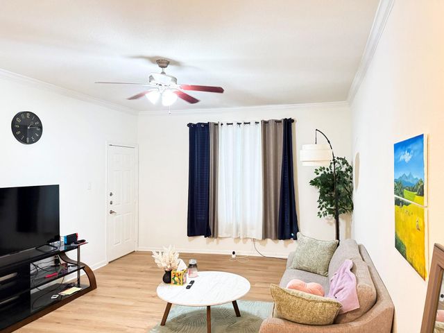 2255 Braeswood Park Drive 117, Houston, TX 77030