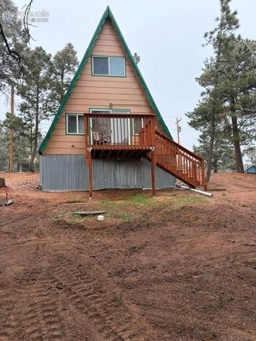 110 Gentian Road, Woodland Park, CO 80866
