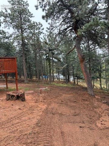 110 Gentian Road, Woodland Park, CO 80866