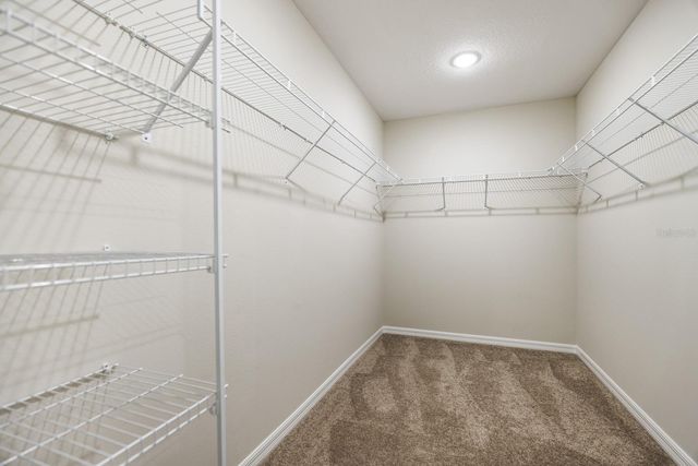 13034 WELLSPRING DRIVE, Lithia, FL 33547