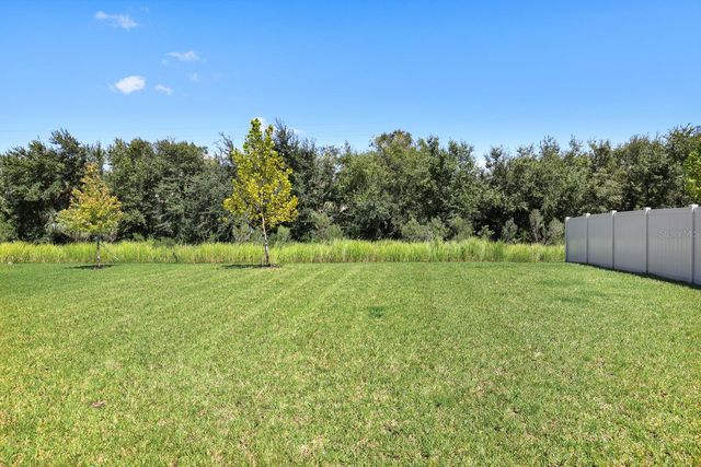 13034 WELLSPRING DRIVE, Lithia, FL 33547