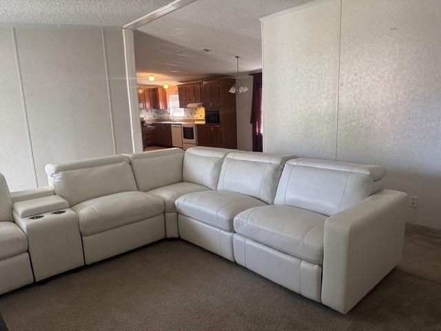 31 Casablanca Drive, Point Blank, TX 77364