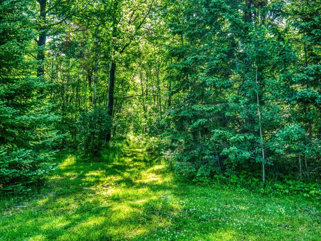 24589 498th Street, Helga Twp, MN 56601