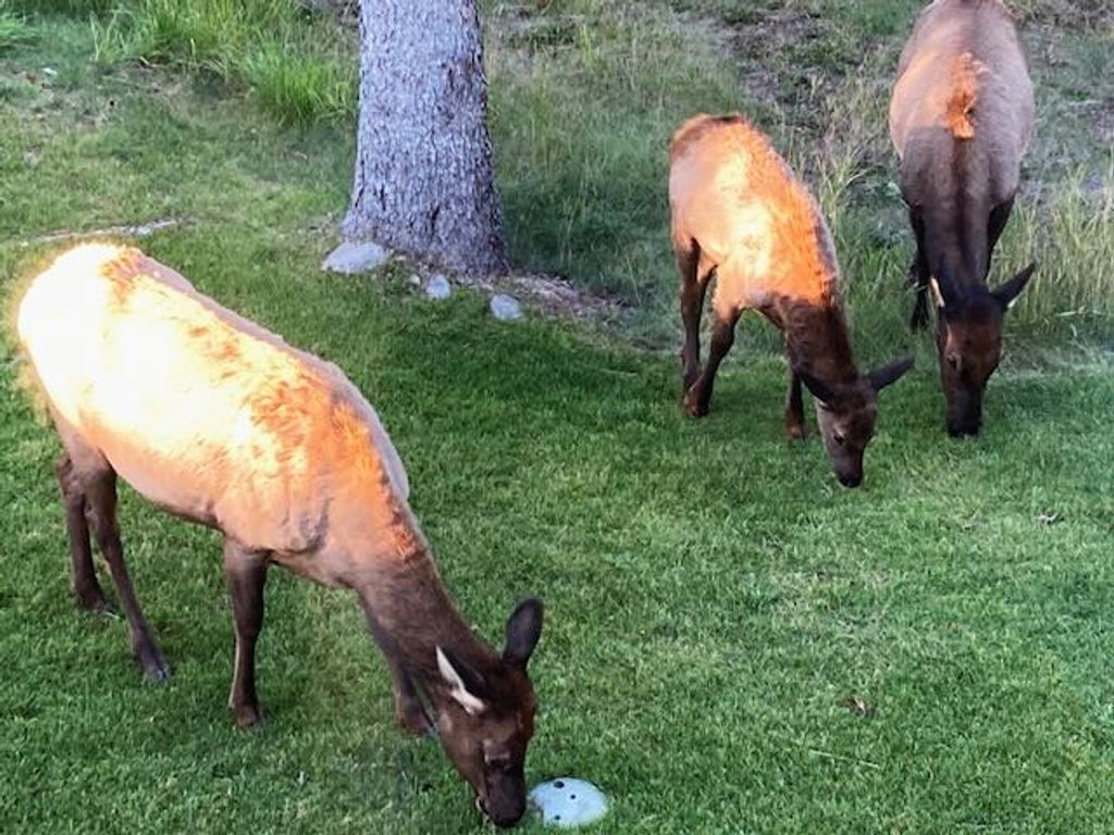 1055 Skywood Road, Big Sky, MT 59716 photo 47