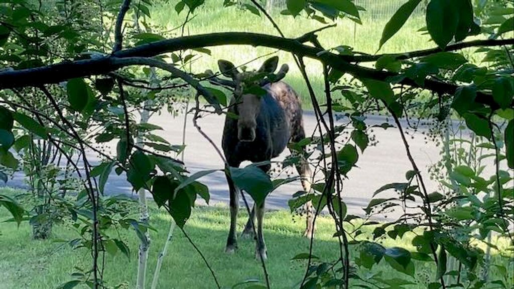 1055 Skywood Road, Big Sky, MT 59716 photo 50