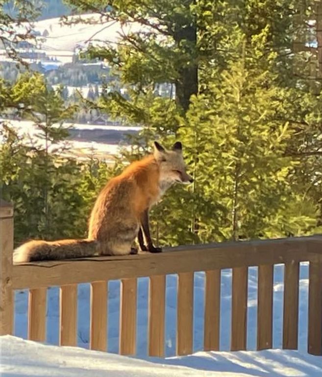 1055 Skywood Road, Big Sky, MT 59716 photo 53