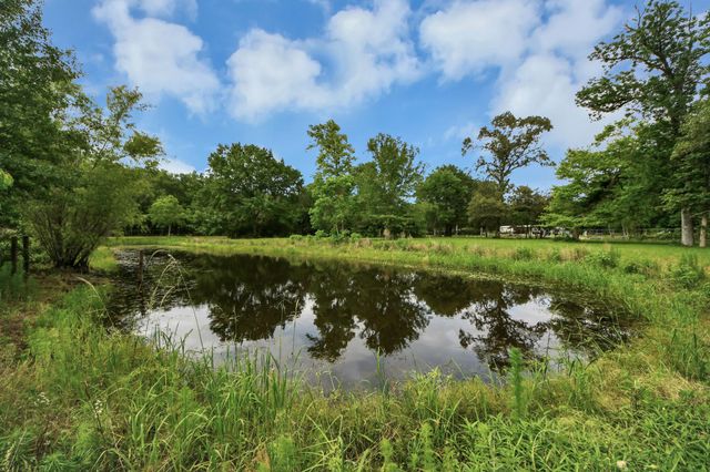 1311 Scroggins Lane, Waller, TX 77484