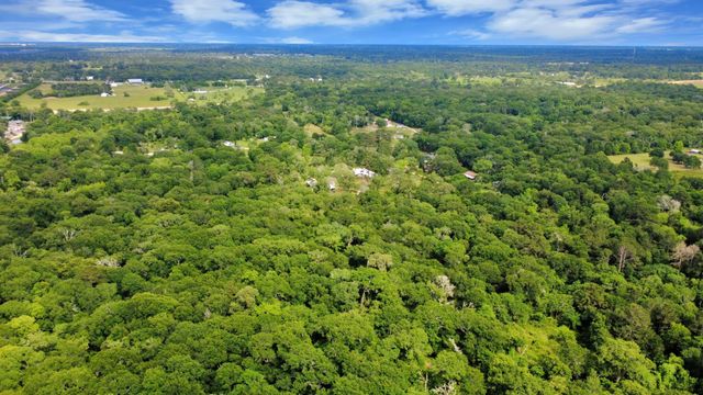 1311 Scroggins Lane, Waller, TX 77484