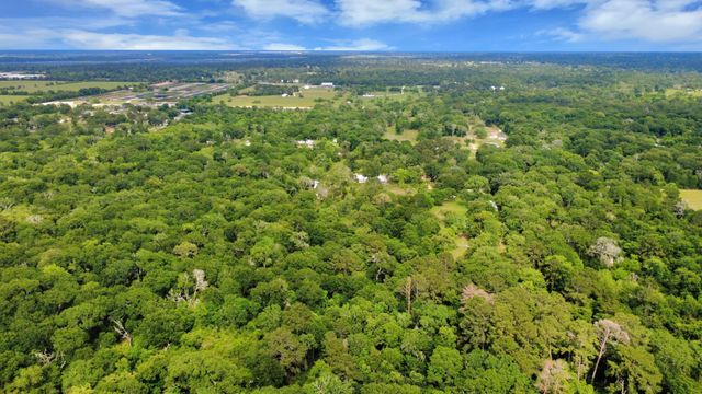 1311 Scroggins Lane, Waller, TX 77484
