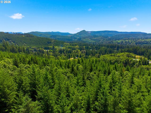 225 HAM Rd, Amboy, WA 98601