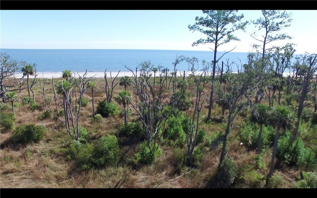 Image 5 of property listing at 19 Beauregard Blvd, Daufuskie Island, SC 29915