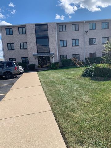 5009 BRIARTREE Lane 317, Burbank, IL 60459