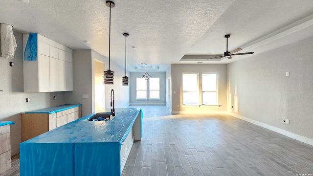 12611 Toro Dr, Atascosa, TX 78002