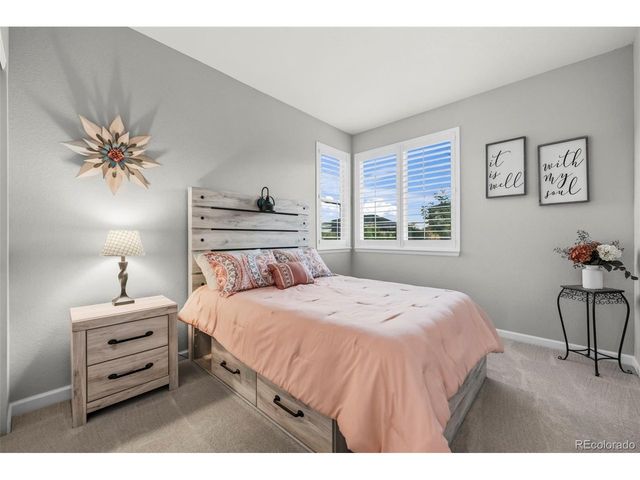 8973 Birch Run Ln, Parker, CO 80134