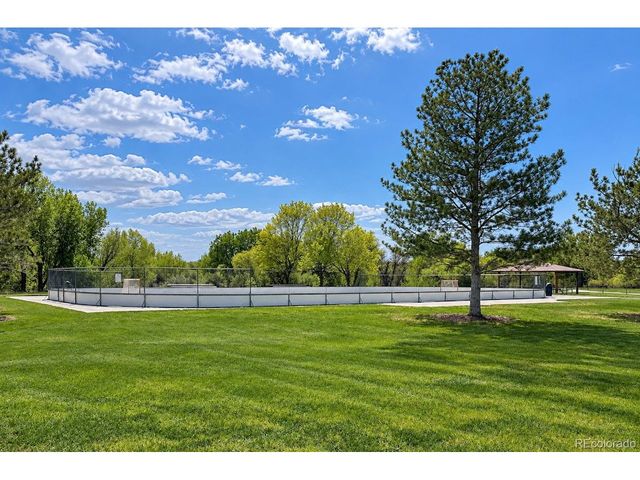 8973 Birch Run Ln, Parker, CO 80134