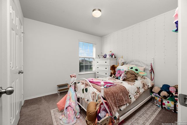 332 Autumn Rouge, New Braunfels, TX 78130