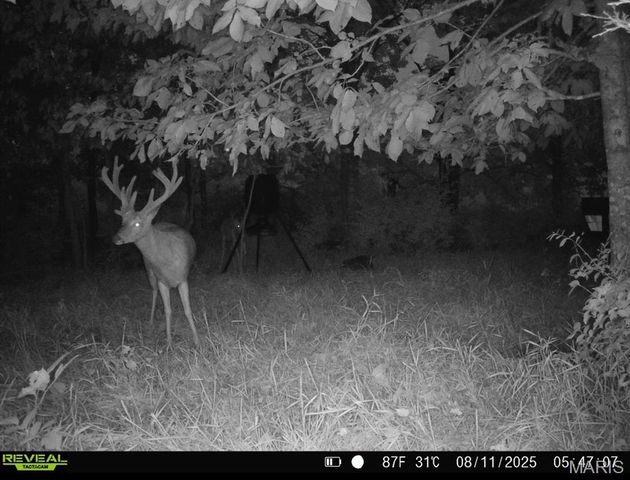 23235 Dalton Road, Warrenton, MO 63383