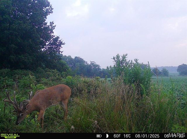 23235 Dalton Road, Warrenton, MO 63383