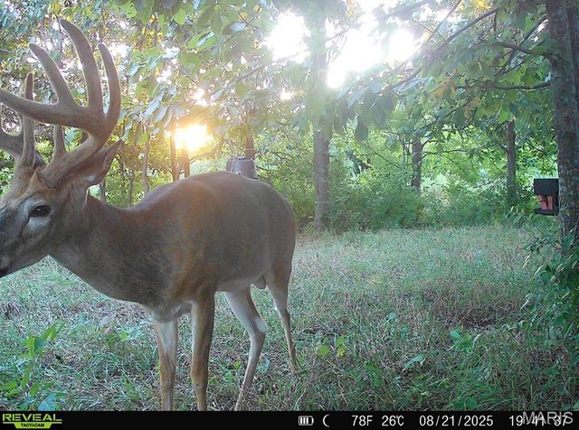 23235 Dalton Road, Warrenton, MO 63383