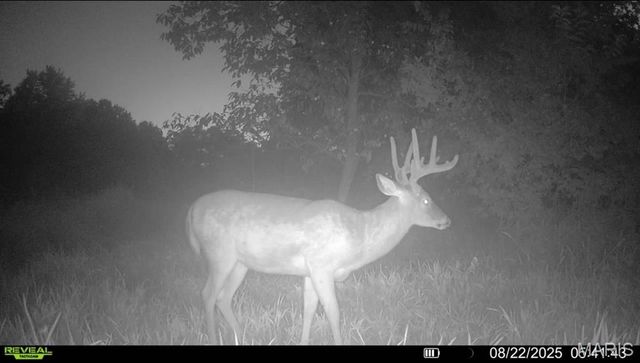 23235 Dalton Road, Warrenton, MO 63383