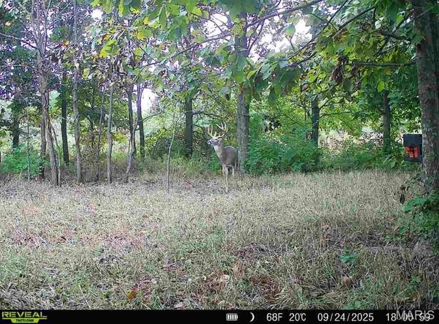 23235 Dalton Road, Warrenton, MO 63383