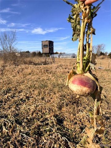 23235 Dalton Road, Warrenton, MO 63383