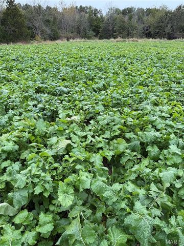 23235 Dalton Road, Warrenton, MO 63383