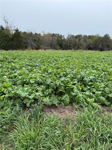 23235 Dalton Road, Warrenton, MO 63383