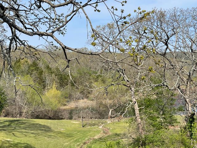 9 Holiday Drive, Kimberling City, MO 65686