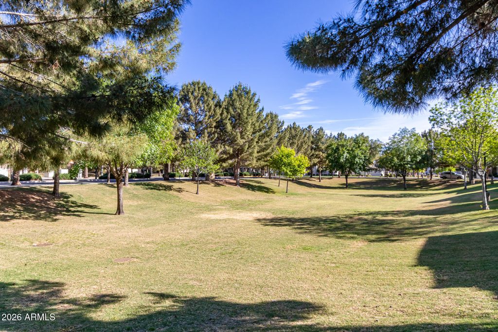 1026 S REBER Avenue, Gilbert, AZ 85296 — photo 4
