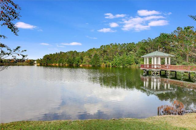 359 SUNSTONE COURT, Orange Park, FL 32065