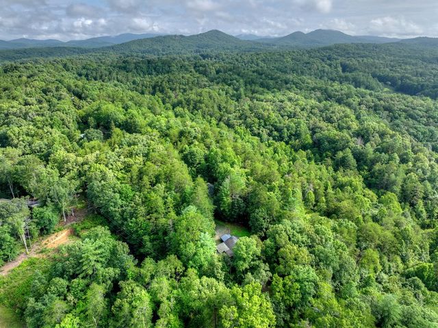 387 Ruby Lane, Mineral Bluff, GA 30559