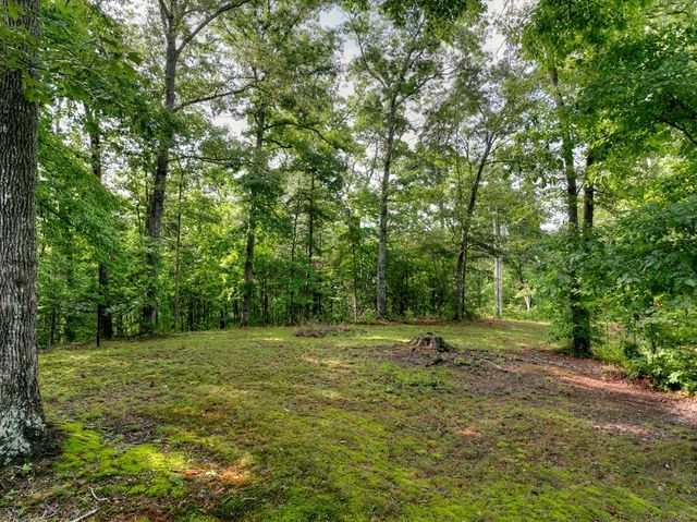 387 Ruby Lane, Mineral Bluff, GA 30559
