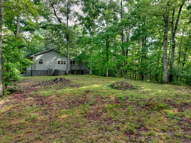 387 Ruby Lane, Mineral Bluff, GA 30559