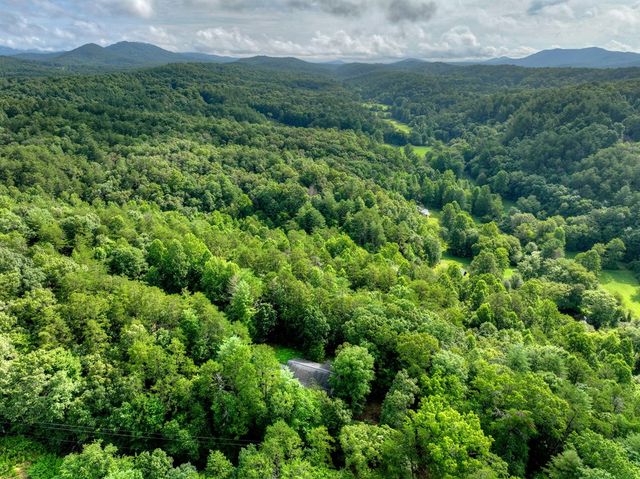 387 Ruby Lane, Mineral Bluff, GA 30559