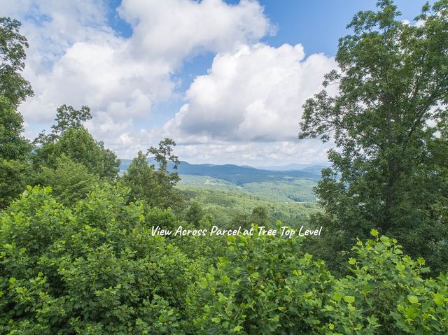 130 Trophy Buck Point, Murphy, NC 28906