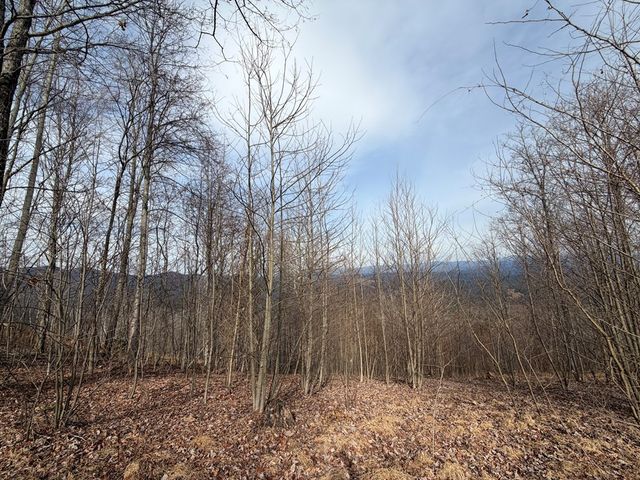 130 Trophy Buck Point, Murphy, NC 28906