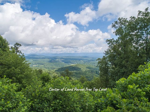130 Trophy Buck Point, Murphy, NC 28906