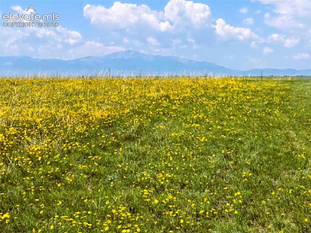 6710 Cowboy Ranch View, Peyton, CO 80831 — photo 3