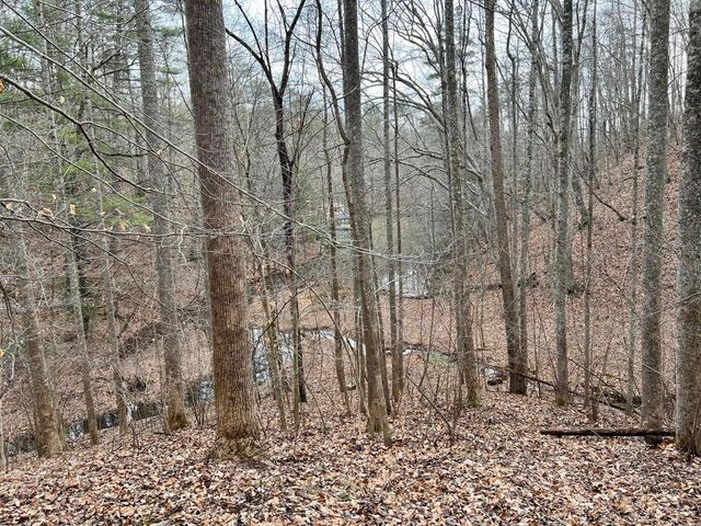 0 North Chase DR, Goodview, VA 24095