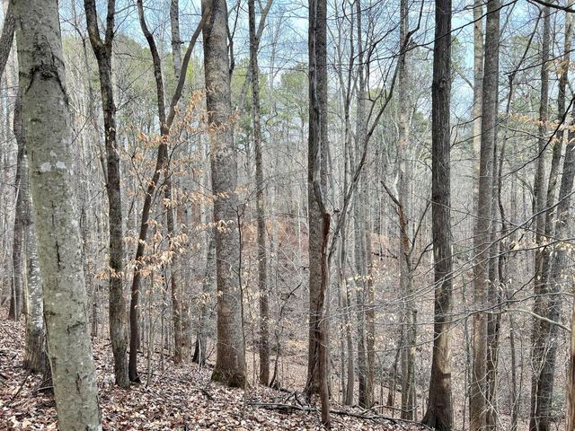 0 North Chase DR, Goodview, VA 24095