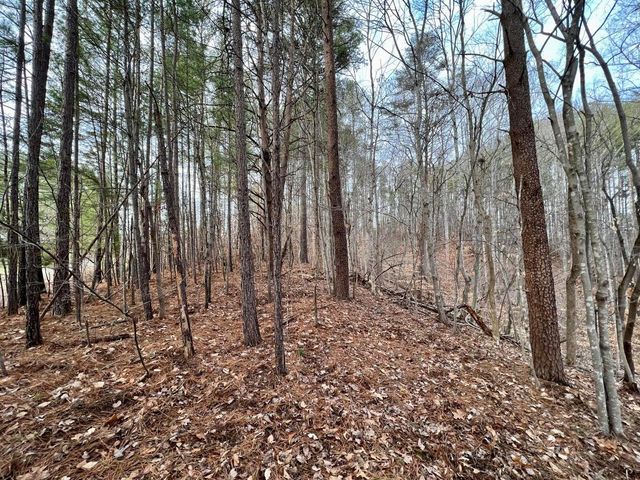 0 North Chase DR, Goodview, VA 24095