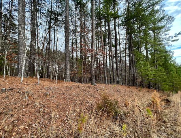 0 North Chase DR, Goodview, VA 24095